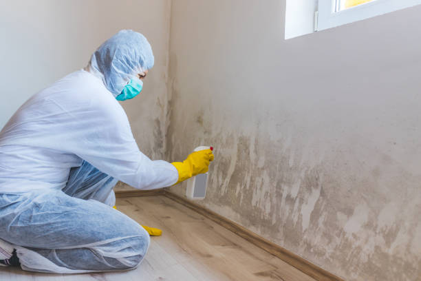 Licensed Crawl Space Mold Removal service in Parrish, FL - WQB Mold Removal