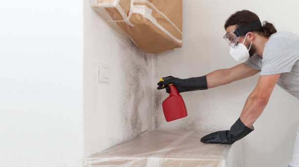Professional Crawl Space Mold Removal technician working in Parrish, FL