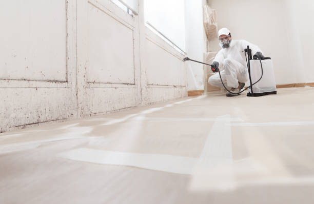 24/7 Emergency Crawl Space Mold Removal experts in Parrish, FL