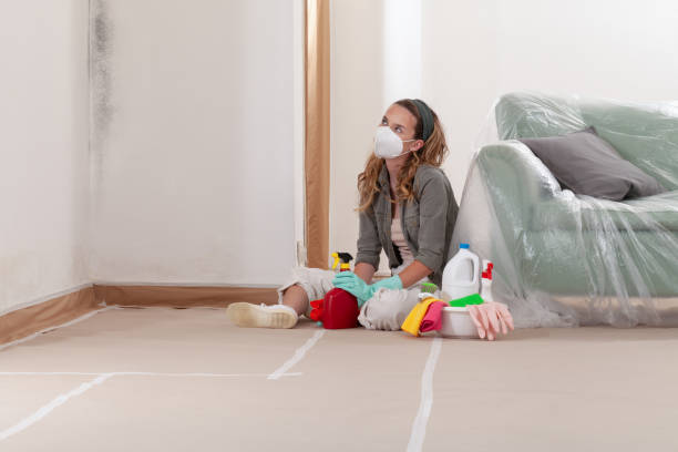 Reliable Crawl Space Mold Removal contractor in Parrish, FL by WQB Mold Removal
