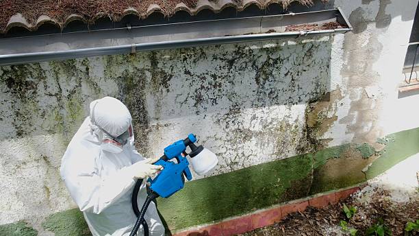 Top rated local Crawl Space Mold Removal specialists in Parrish, FL